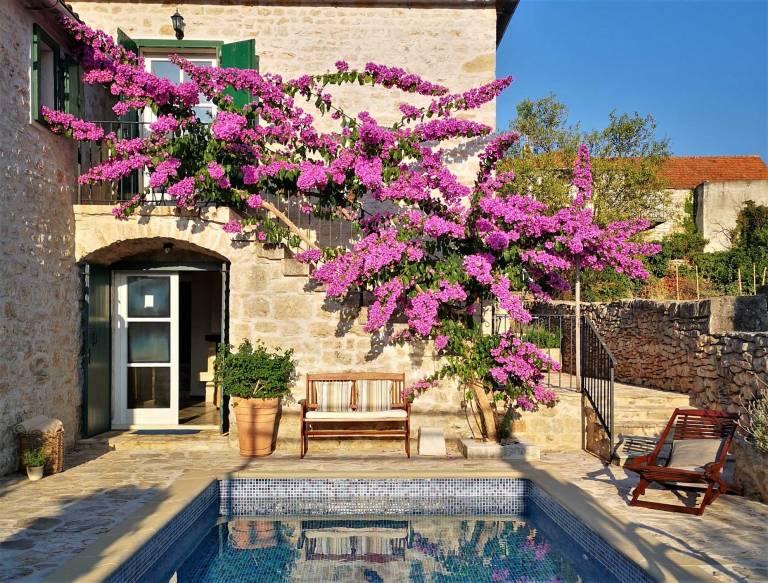 Newly renovated 3-BR Dalmatian stone Villa with Pool for 6-8 Guests — photo 3