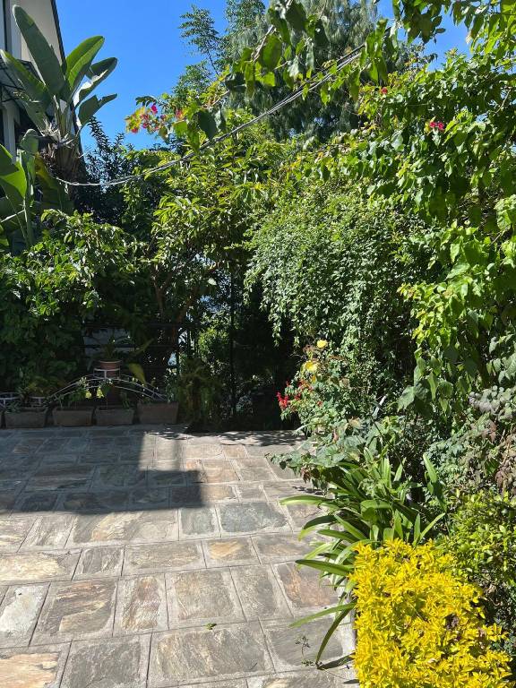 foto40
