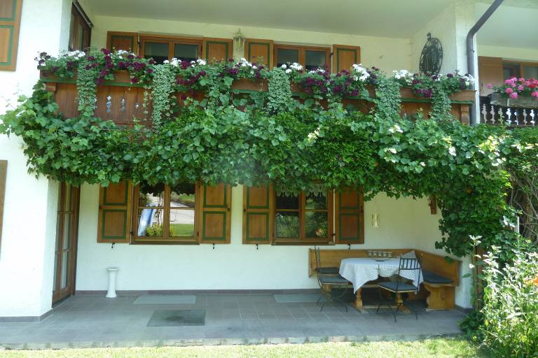 foto20