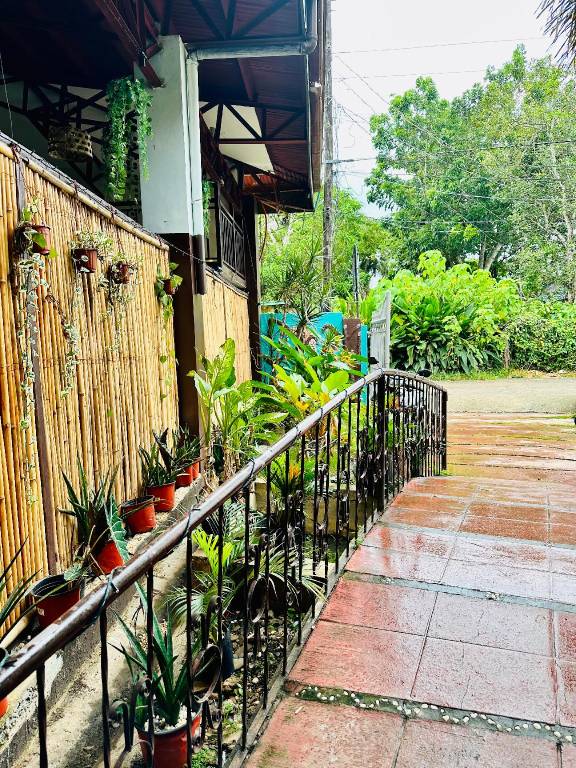 Amancio's Balai - Near Airport, Capitol, City! — photo 5