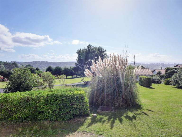 foto14