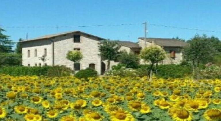 Agriturismo"Il Sagrato di Assisi" appartamenti, camere in Assisi