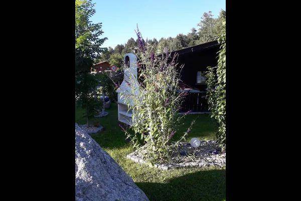 foto14