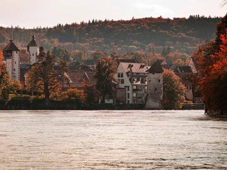 foto20