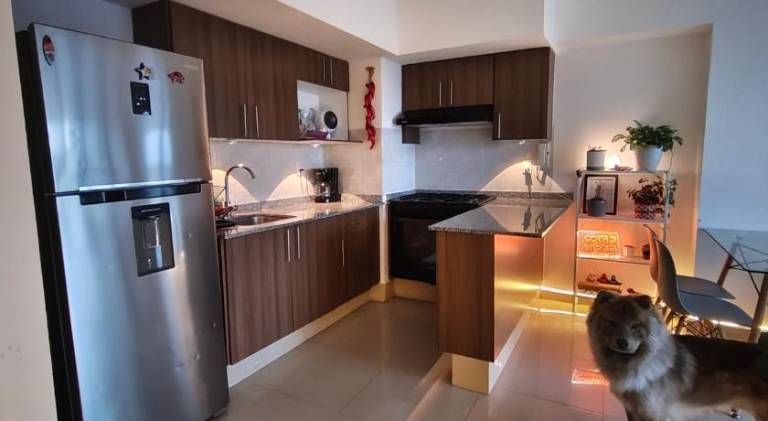 Beautiful apartment | Pets are welcome — photo 2