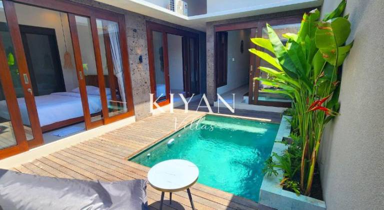 Villa with pool — photo 5