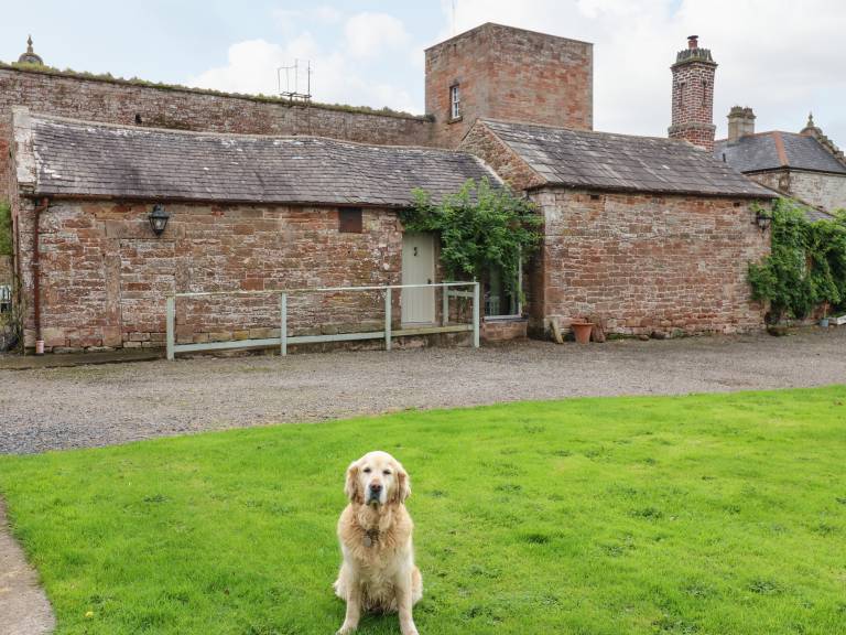 Child-friendly cottage with yard | Pet-friendly — photo 3