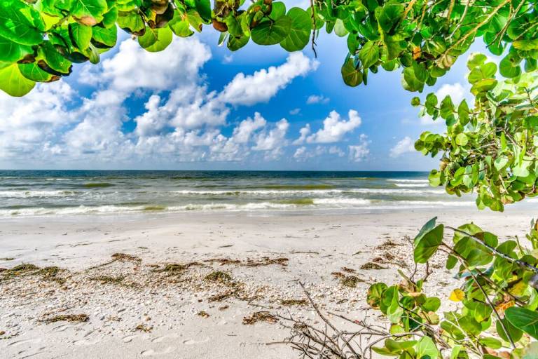 Villa Little Gasparilla Island