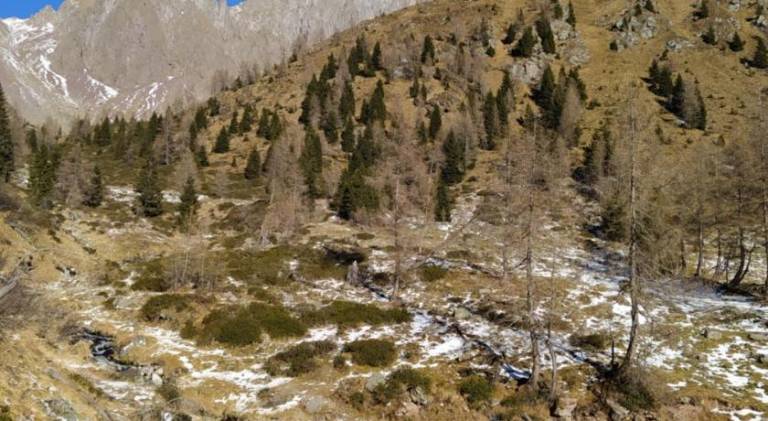 foto46