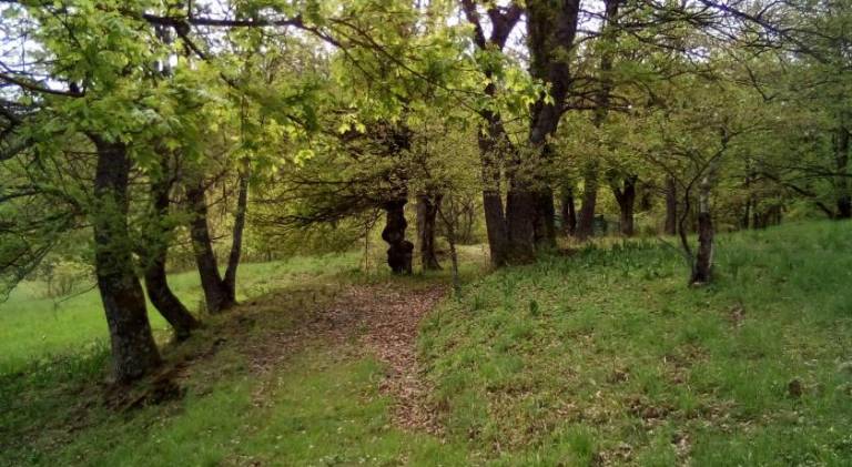 foto21