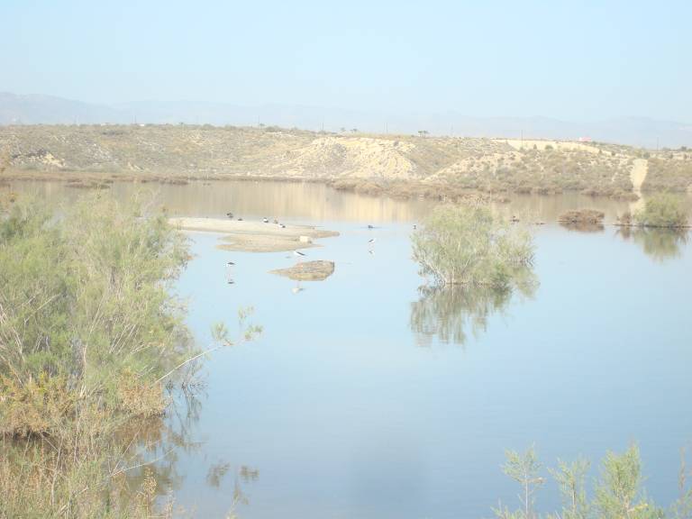 foto4