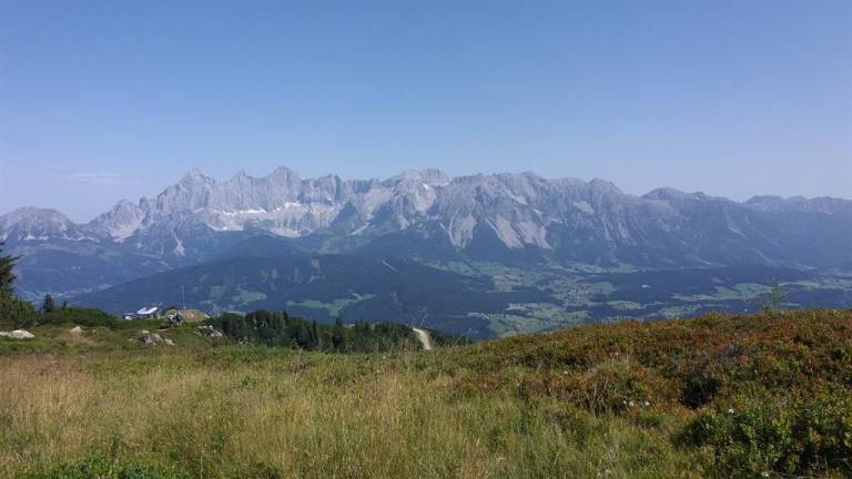 foto11