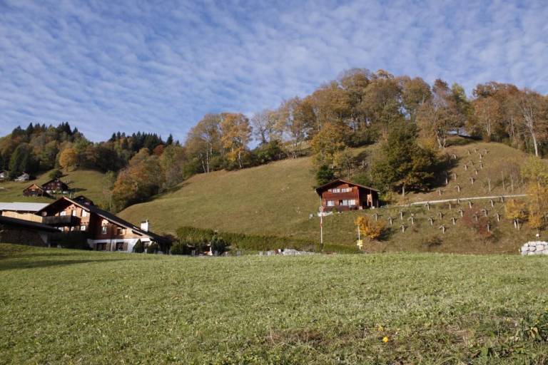 Chalet Matt