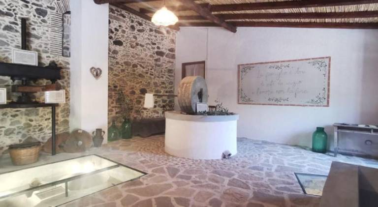 Holiday apartment with 1 room for 5 persons — photo 3
