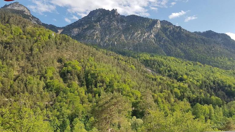 Ferienwohnung Bad Reichenhall