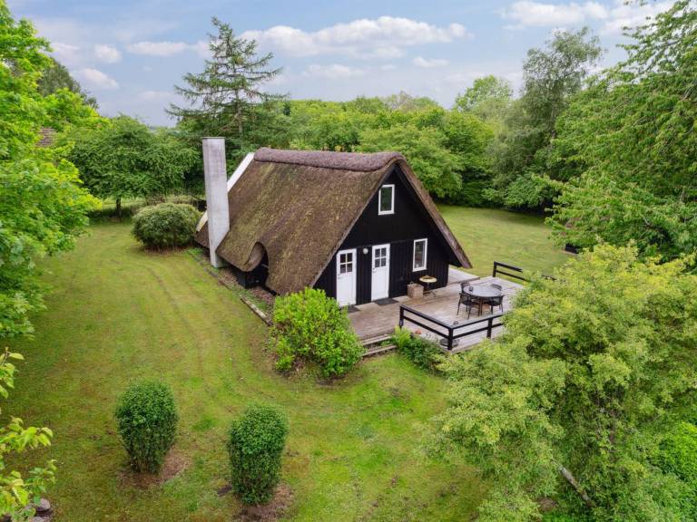 Ferienhaus Tranekær Sogn