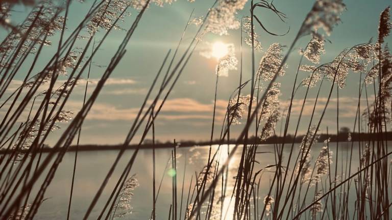 Ferienhaus  Südbrookmerland