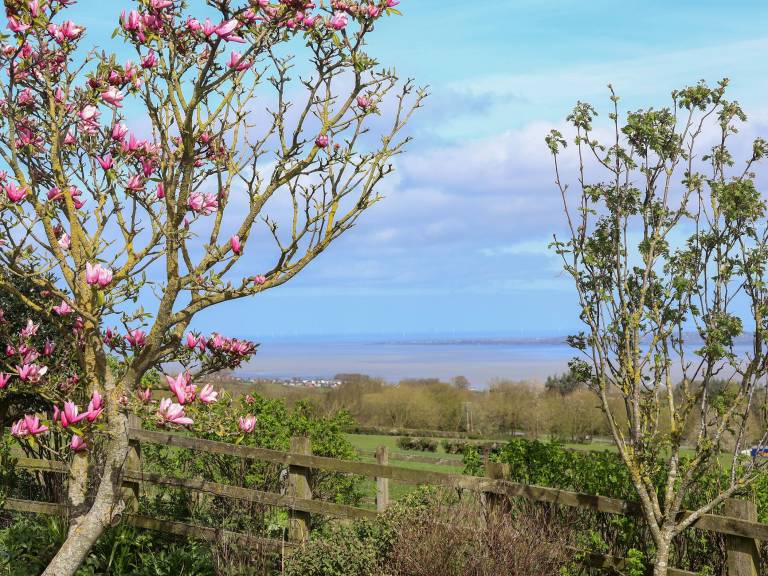 Cottage Holywell