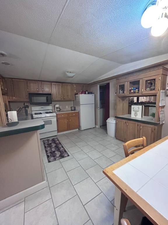 Mobile home Paw Paw