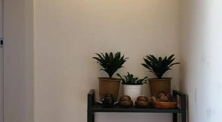 foto44