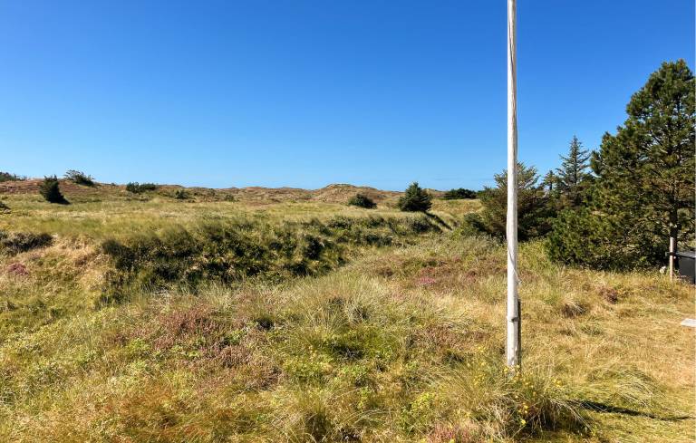 Ferienhaus  Vorupør