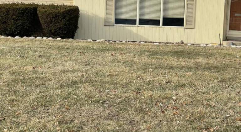 1000 m&sup2; Ferienhaus