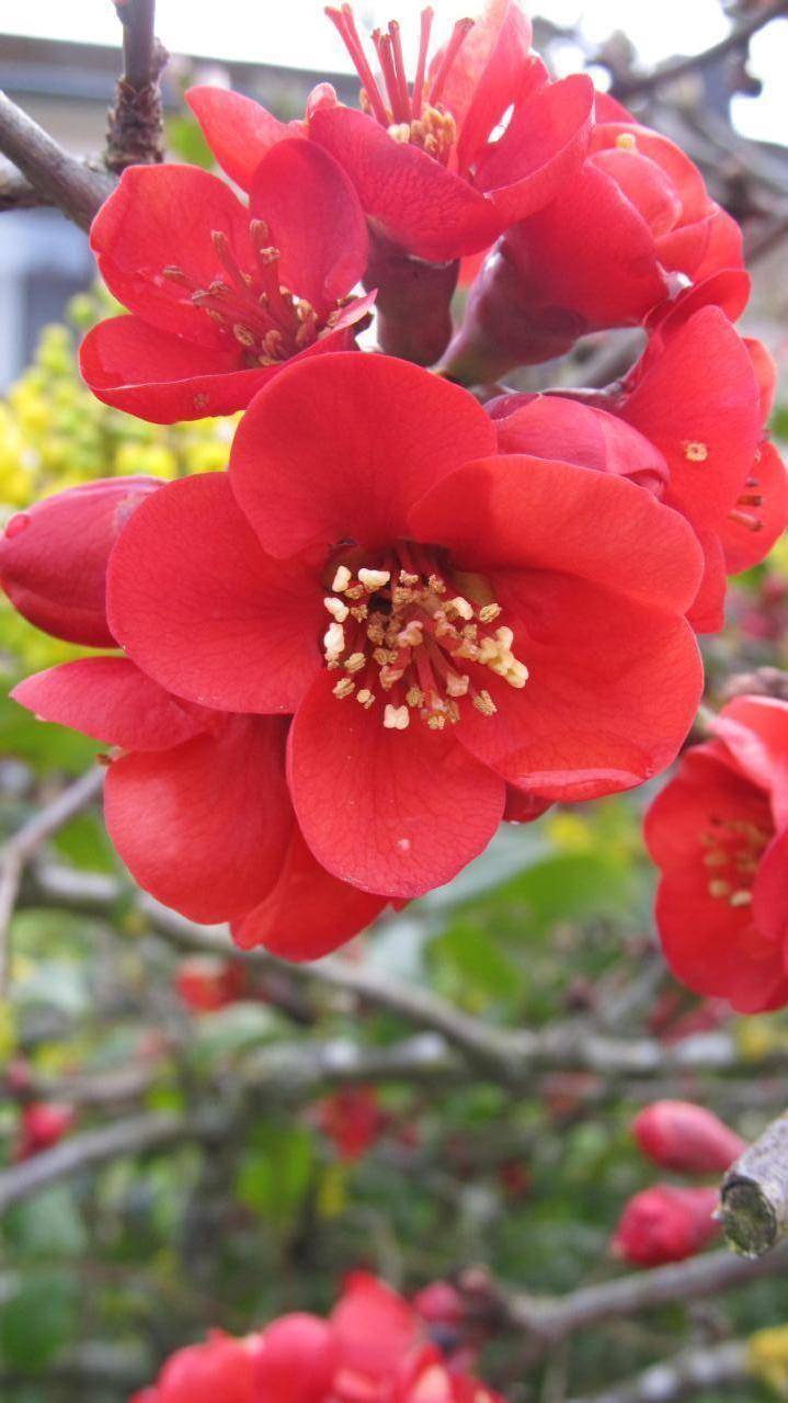foto8