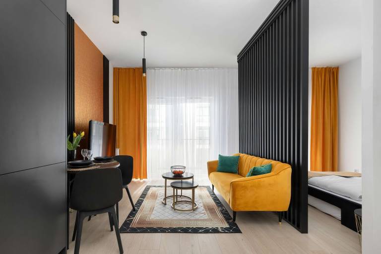 Studio with fast internet in Szczecin