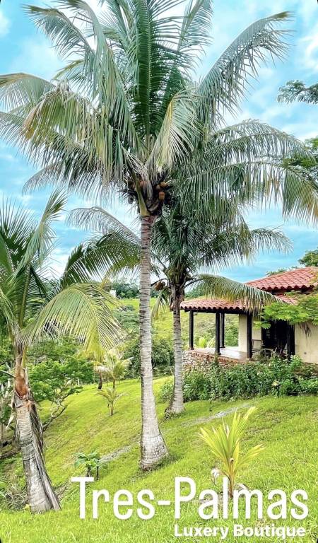 Bed & Breakfast Los Panamaes