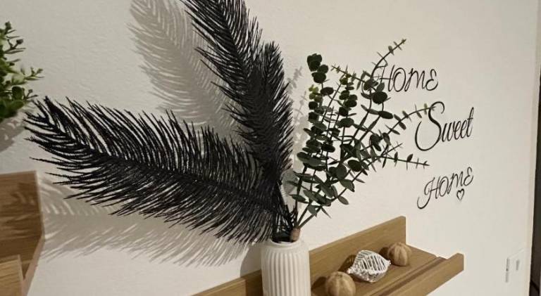 Rental apartment with 1 room for 4 persons in Forlì