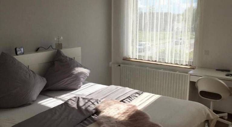 Hotel Kronenhof & Gaststatte Zum Fehling — photo 2