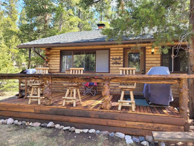 Cabin Cody
