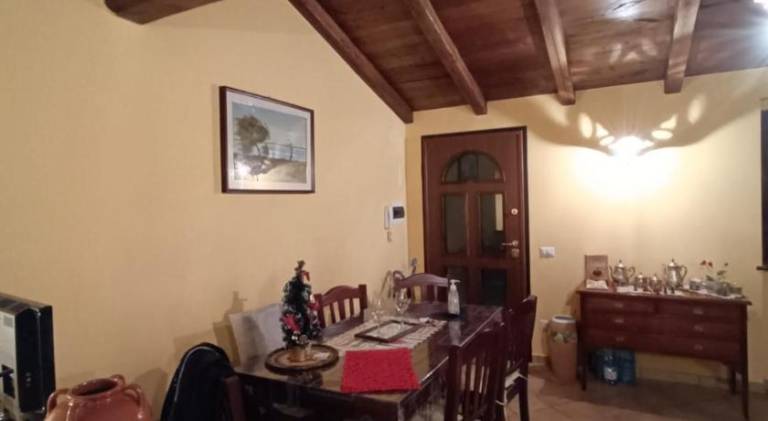 Pleasant holiday apartment | Pets are welcome — photo 3