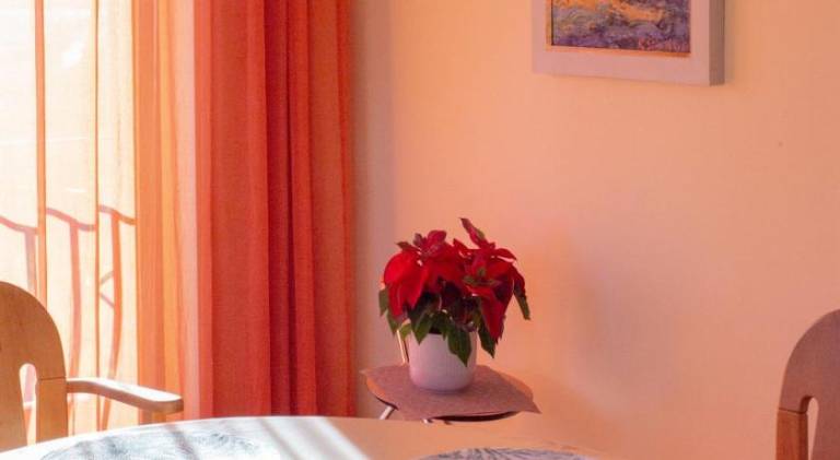 foto20