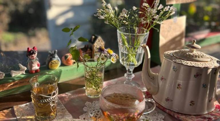 foto25