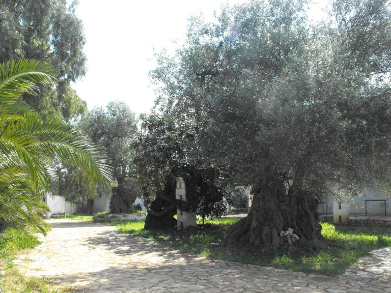 Casale Ostuni