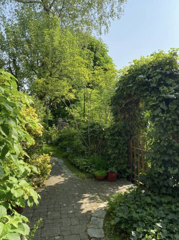 foto21