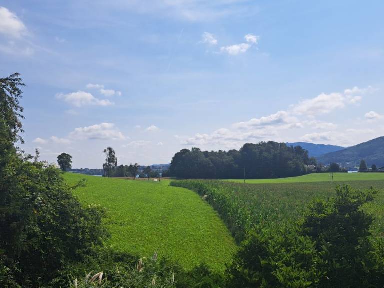 foto17
