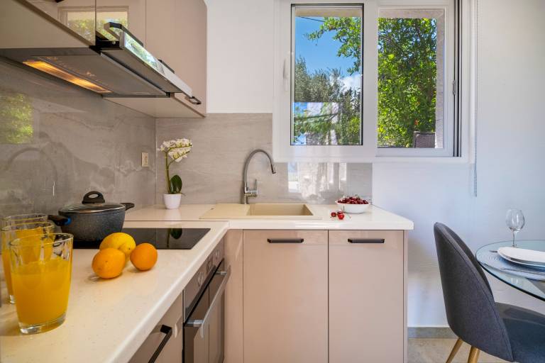 Gkountis Garden Studio Apartment with Sea View, Shared Pool & Wi-Fi — photo 5