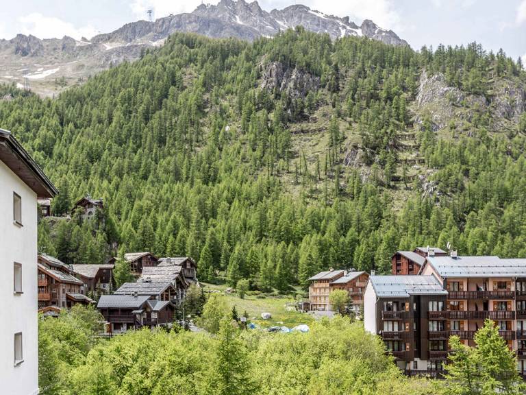 Apartment  Le Fornet