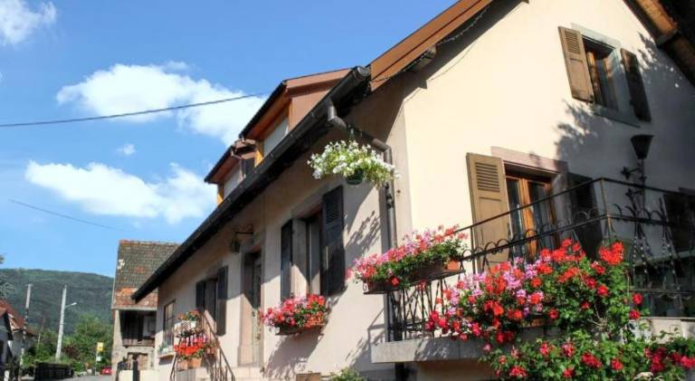 Vacation home with BBQ, terrace & yard in Mulhouse