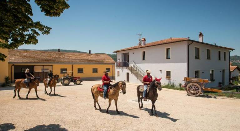 Farm with garden in Narni