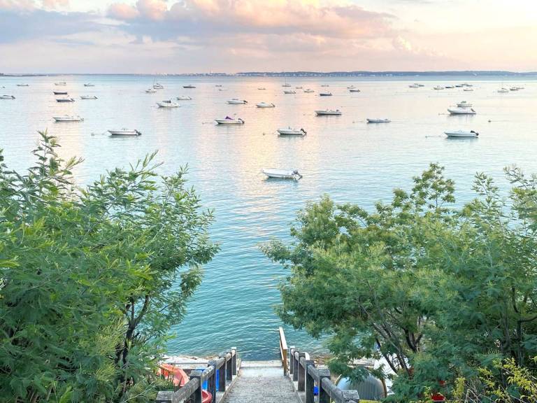 Charming villa with garden, 100m from Arcachon Bay, near beaches and shops, Wi-Fi — photo 3