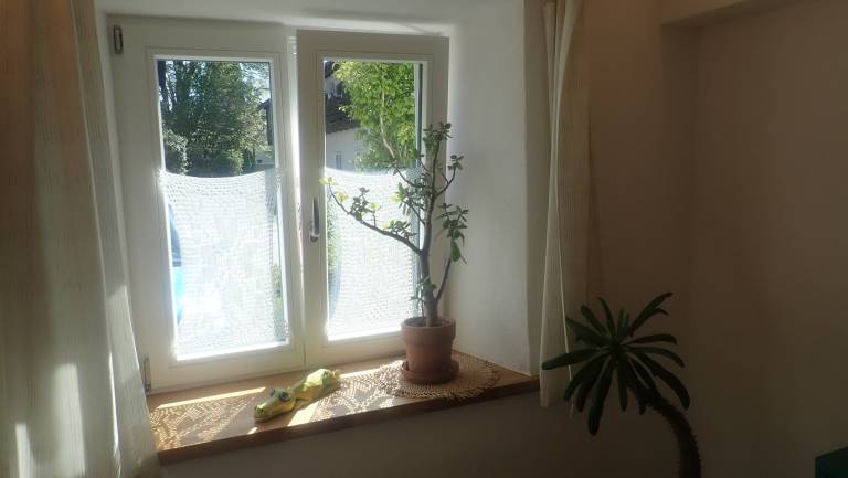 foto18