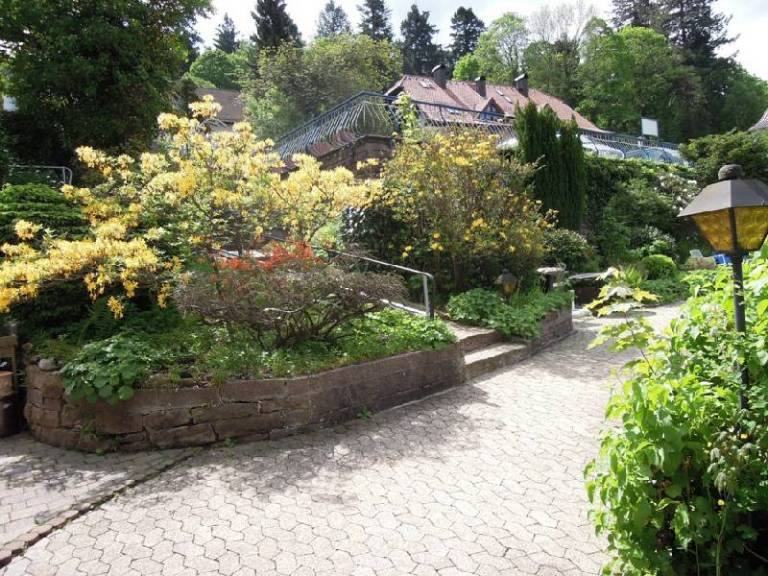 foto12