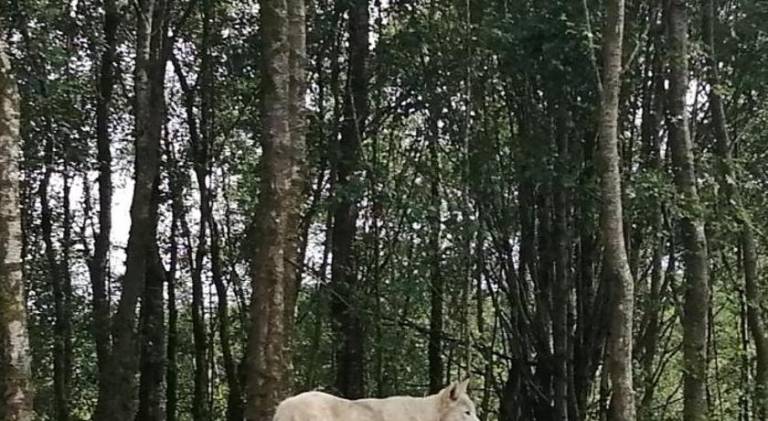 foto45