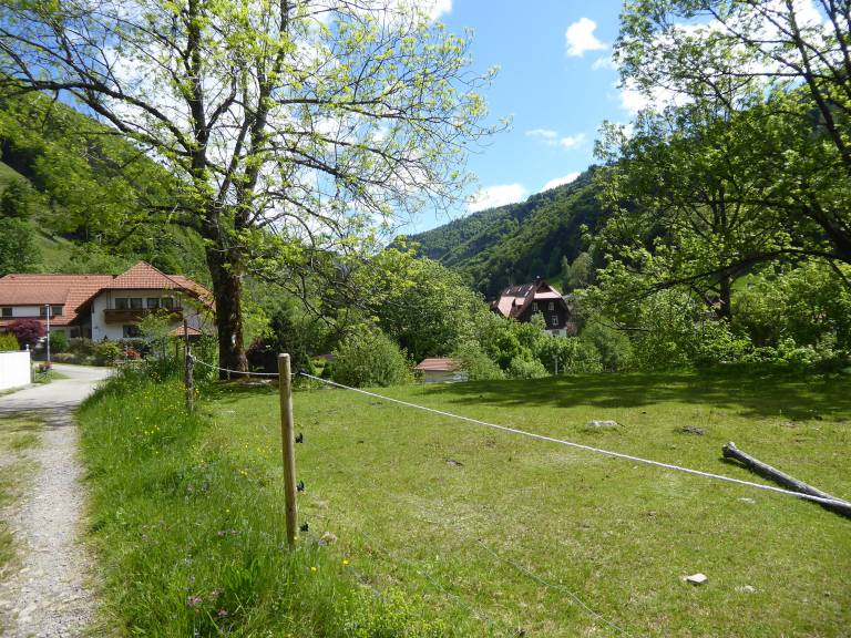 Ferienwohnung Todtnauberg