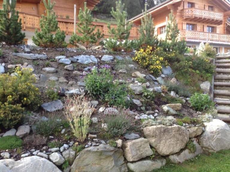 foto37