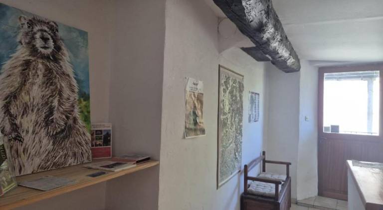 foto21