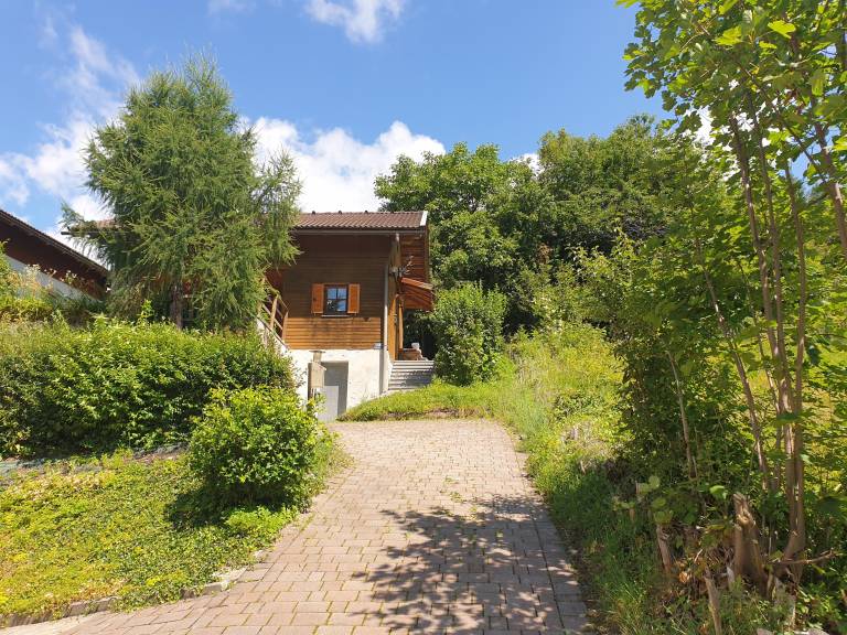 foto2